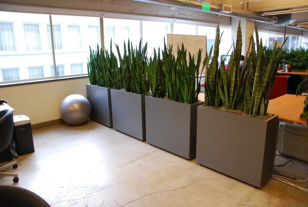 Model partisi ruangan tanaman