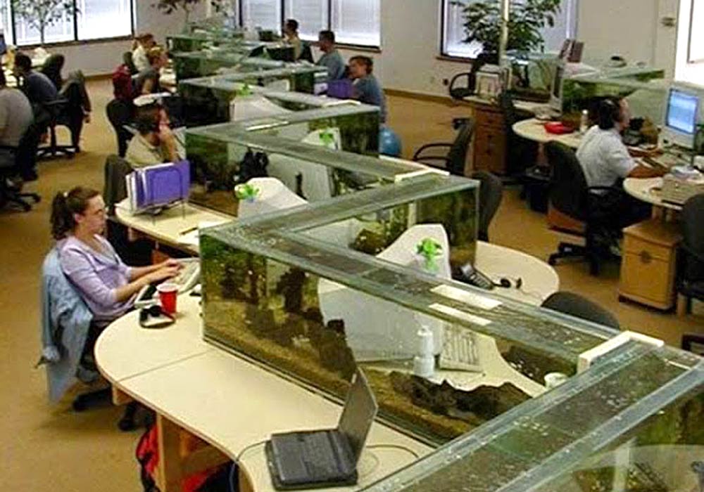 model partisi ruangan kantor aquarium