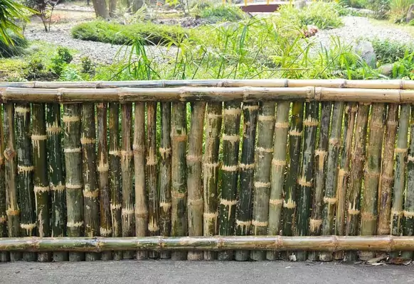 model pagar bambu hijau alami