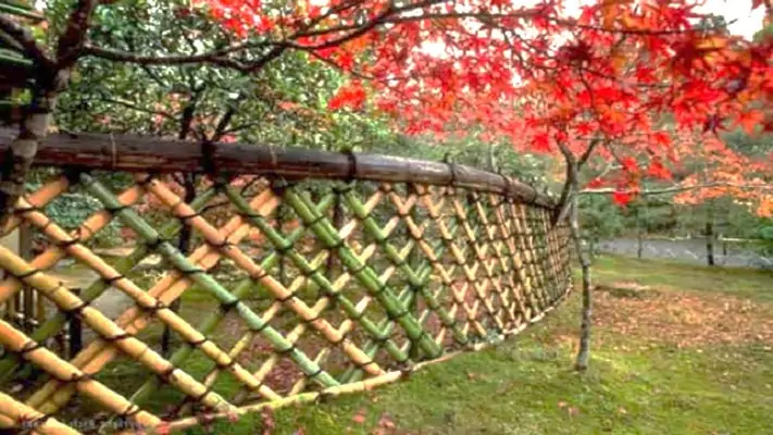 desain pagar bambu melengkung